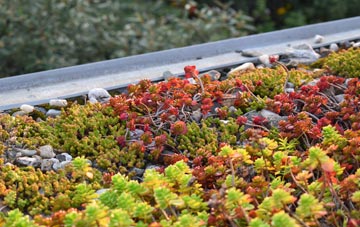 the cost of Twinstead green roof installation