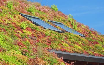 Twinstead living roof systems